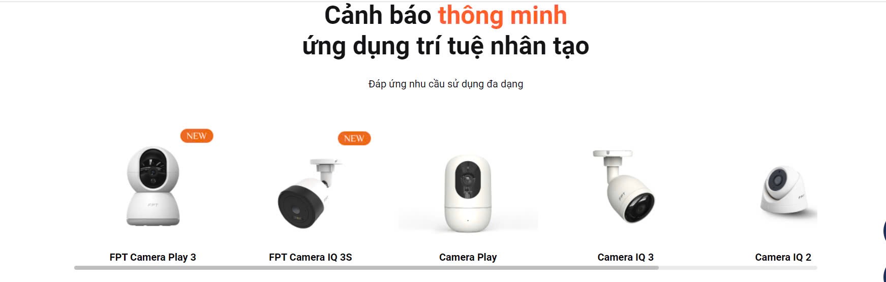 Camera FPT